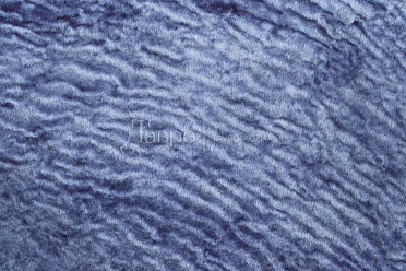Астраган, высота ворса 0.4 - 0.6 см, цвет голубой