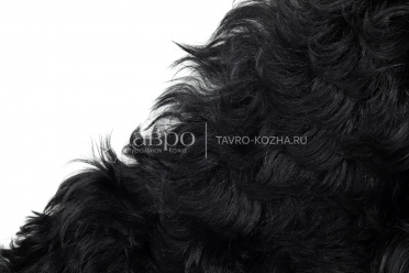 Тиградо одежный, цвет черный, высота ворса - 6